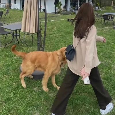 生命最后之旅