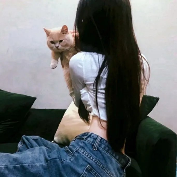 咪走鸡